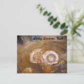 Luray Caverns, VA Briefkaart (Staand voorkant)