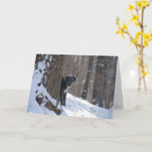 Lurcher achter een Boom - Wenskaarten Kaart (Gele Bloem)