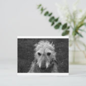 Lurcher Briefkaart (Staand voorkant)