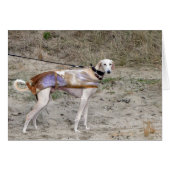 Lurcher-fotokaart (Voorkant Horizontaal)
