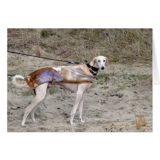Lurcher-fotokaart (Voorkant Horizontaal)