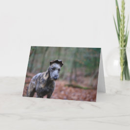Lurcher in bosgroetenkaart kaart