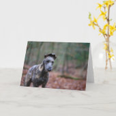 Lurcher in bosgroetenkaart kaart (Gele Bloem)