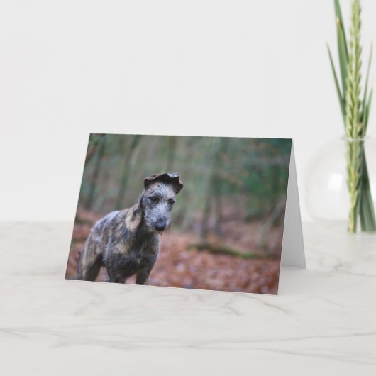 Lurcher in bosgroetenkaart kaart (Voorkant)
