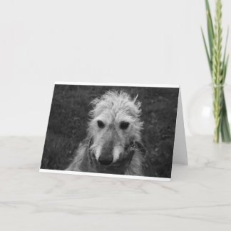 Lurcher Kaart