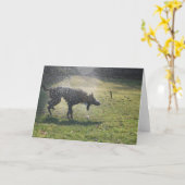 Lurcher na zwemt - Wenskaart Kaart (Gele Bloem)