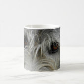 Lurcher Up Close - Mok One (Center)