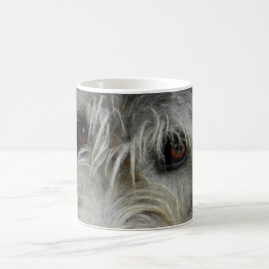 Lurcher Up Close - Mok One (Center)