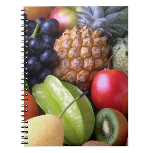 Luscieus Notitieboek (Voorkant)