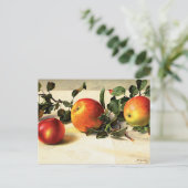 Luscieuze appels briefkaart (Staand voorkant)