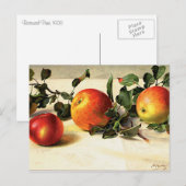 Luscieuze appels briefkaart (Voorkant / Achterkant)