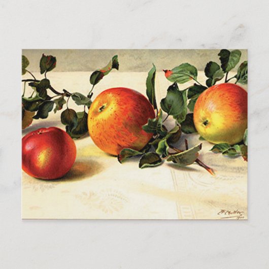 Luscieuze appels briefkaart (Voorkant)