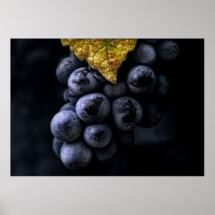 Luscious Grape Cluster Poster