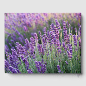 Luscious Lavender Gastenboek (Achterkant)