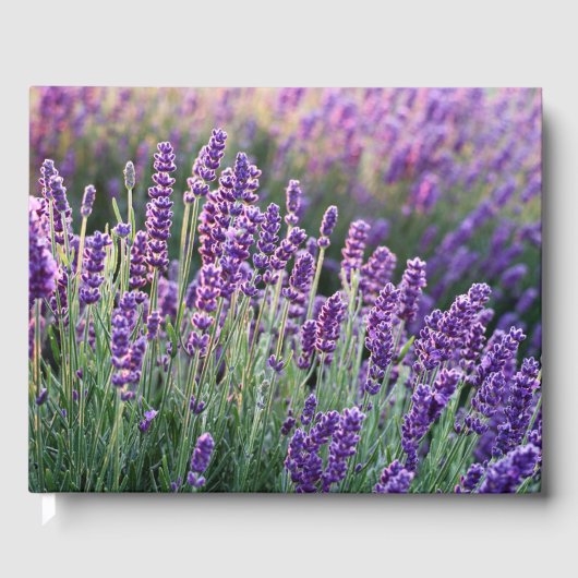 Luscious Lavender Gastenboek (Voorkant)