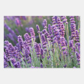 Luscious Lavender Inpakpapier Vel (Voorkant 3)