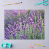 Luscious Lavender Tissuepapier (Craft)