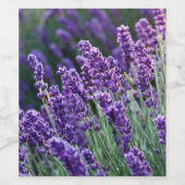Luscious Lavender Wijn Etiket (Enkel label)