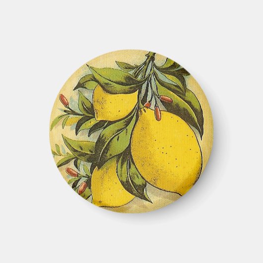 Luscious Lemons Magneet (Voorkant)
