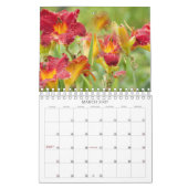 Luscious Lilies #1 Kalender (Mar 2027)