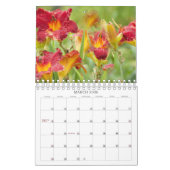Luscious Lilies #1 Kalender (Mar 2026)