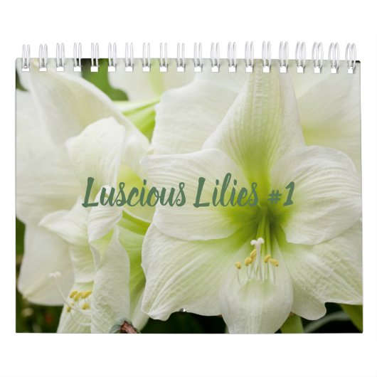 Luscious Lilies #1 Kalender (Hoes)