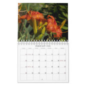 Luscious Lilies #1 Kalender (Feb 2026)