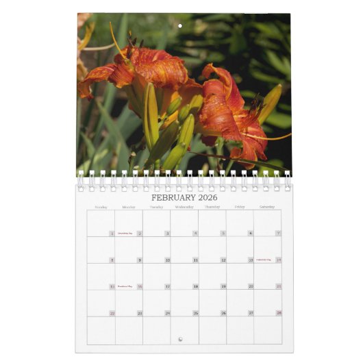 Luscious Lilies #1 Kalender (Feb 2026)