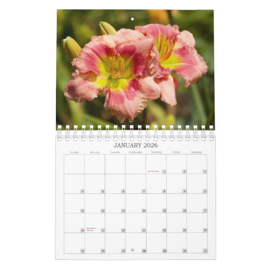 Luscious Lilies #1 Kalender (Jan 2026)