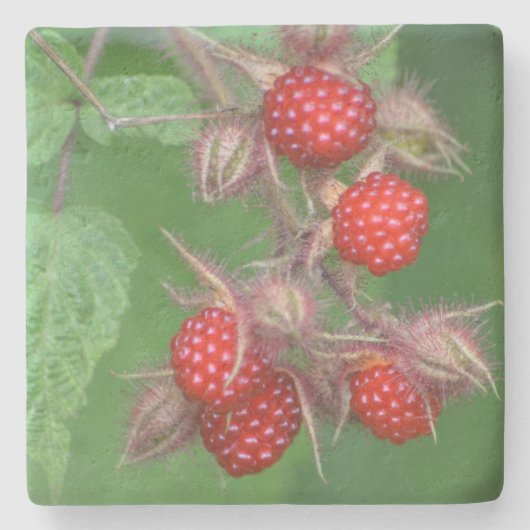 Luscious Ripe Raspberry Stenen Onderzetter (Voorkant)