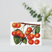 Luscious Sweet Cherries Briefkaart (Staand voorkant)