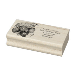Luscious Zomer Aardbei Adres Rubber Stempel