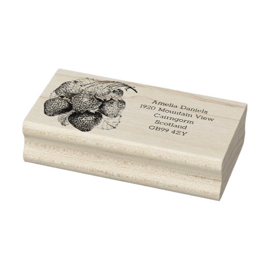 Luscious Zomer Aardbei Adres Rubber Stempel (Stempel)