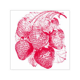 Luscious Zomer Aardbei Rubber Stamp Zelfinktende Stempel