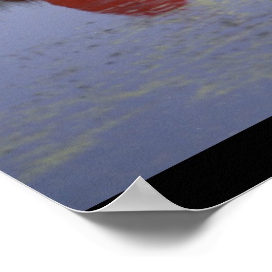 Luscombe, 8A, 1940, Oshkosh_Classic Aviation Poster (Hoek)