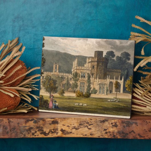 Luscombe Castle, Devon (kleurenlitho) Fotoplaat (Zijkant)