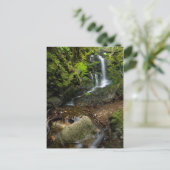 Lush California Watervall Briefkaart (Staand voorkant)