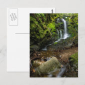 Lush California Watervall Briefkaart (Voorkant / Achterkant)