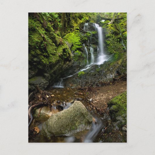 Lush California Watervall Briefkaart (Voorkant)