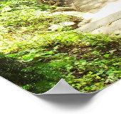 Lush Central Park Landscape, NYC, Medium Poster (Hoek)