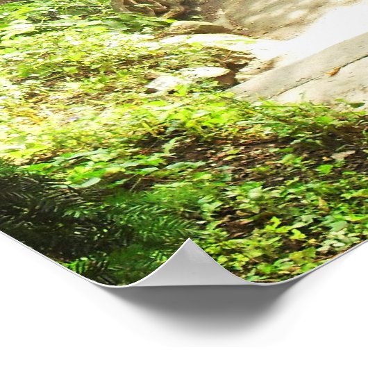 Lush Central Park Landscape, NYC, Medium Poster (Hoek)