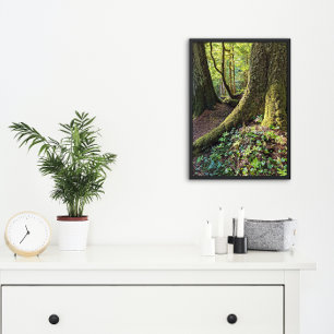Lush Evergreen Forest Natuur Foto Afdruk