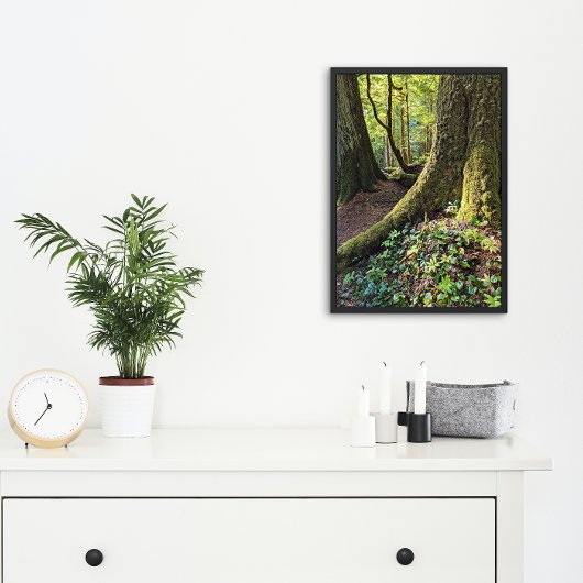 Lush Evergreen Forest Natuur Foto Afdruk