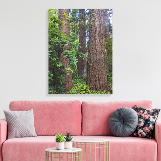 Lush Forest Douglas Fir Trees Fotografisch Canvas Afdruk (Insitu (Woonkamer))