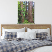 Lush Forest Douglas Fir Trees Fotografisch Canvas Afdruk (Insitu (Slaapkamer))