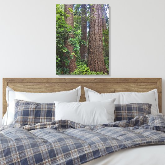 Lush Forest Douglas Fir Trees Fotografisch Canvas Afdruk (Insitu (Slaapkamer))