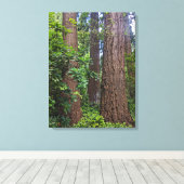 Lush Forest Douglas Fir Trees Fotografisch Canvas Afdruk (Insitu (Houten vloer))