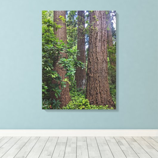 Lush Forest Douglas Fir Trees Fotografisch Canvas Afdruk (Insitu (Houten vloer))
