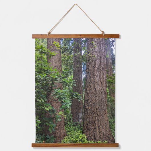 Lush Forest Douglas Fir Trees Hangend Wandkleed (Voorkant)