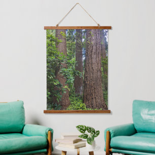 Lush Forest Douglas Fir Trees Hangend Wandkleed